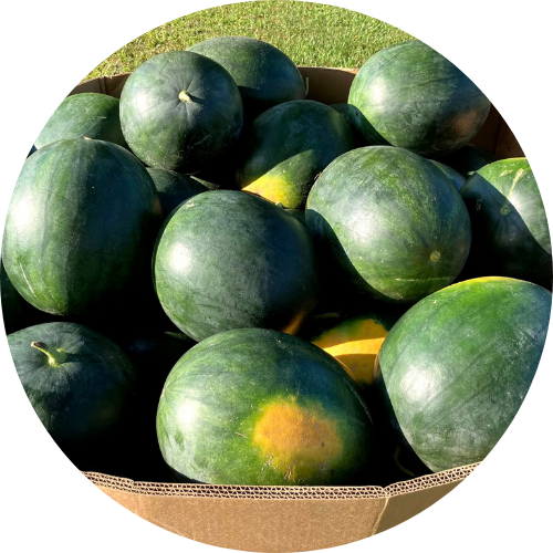 Hank's Melons and More - Medaryville, IN