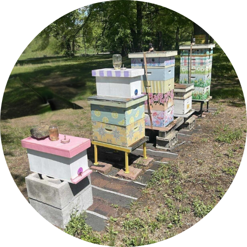 Kornmayer Honey Bees - Logansport, IN