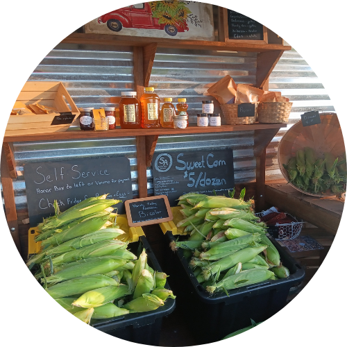 Sprakers Acres - Kokomo, IN 