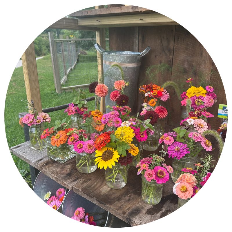 The Wicked Wildflower - Martinsville, IN (no socials)