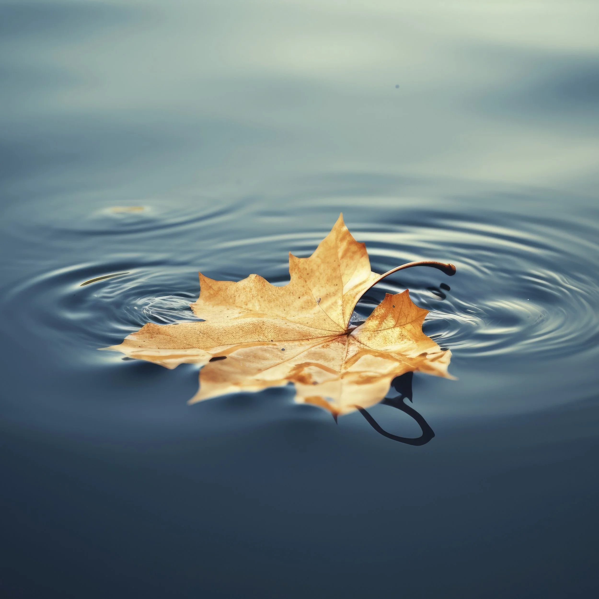 Why We Lose Ourselves: Understanding Emotional Over‑Responsibility