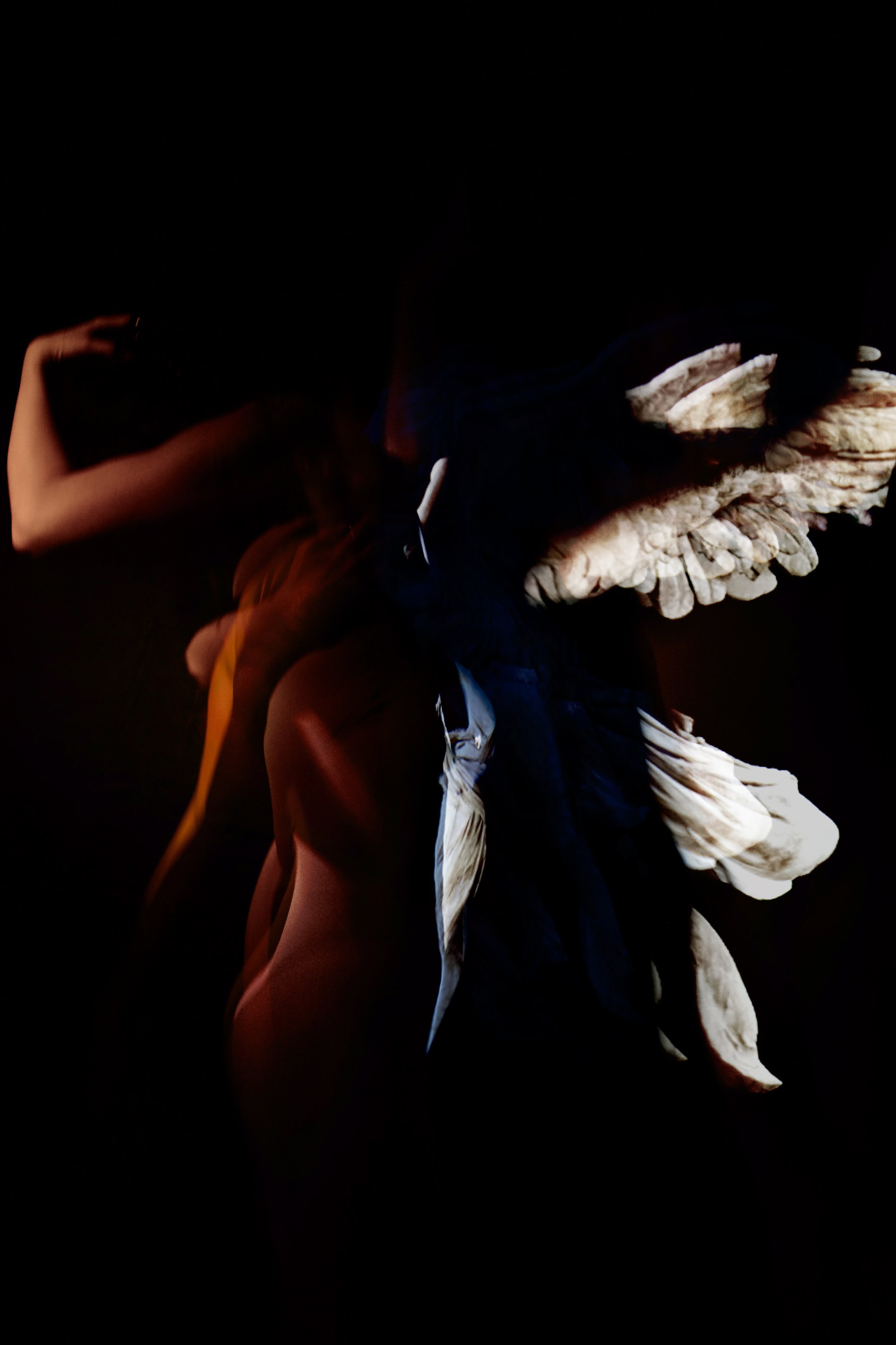 Projet corps - Envol.jpg