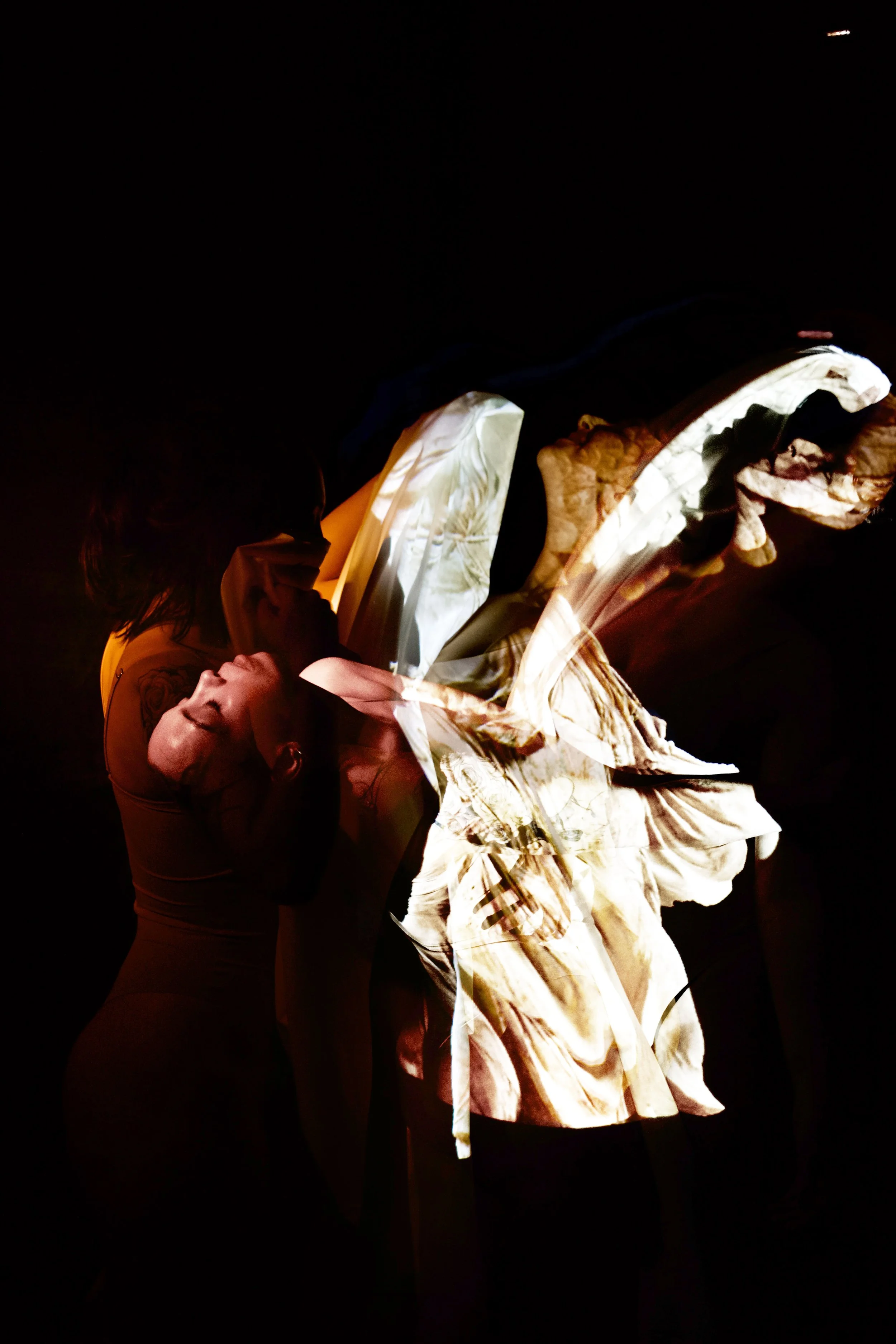 Projet corps - 3e identité.jpg