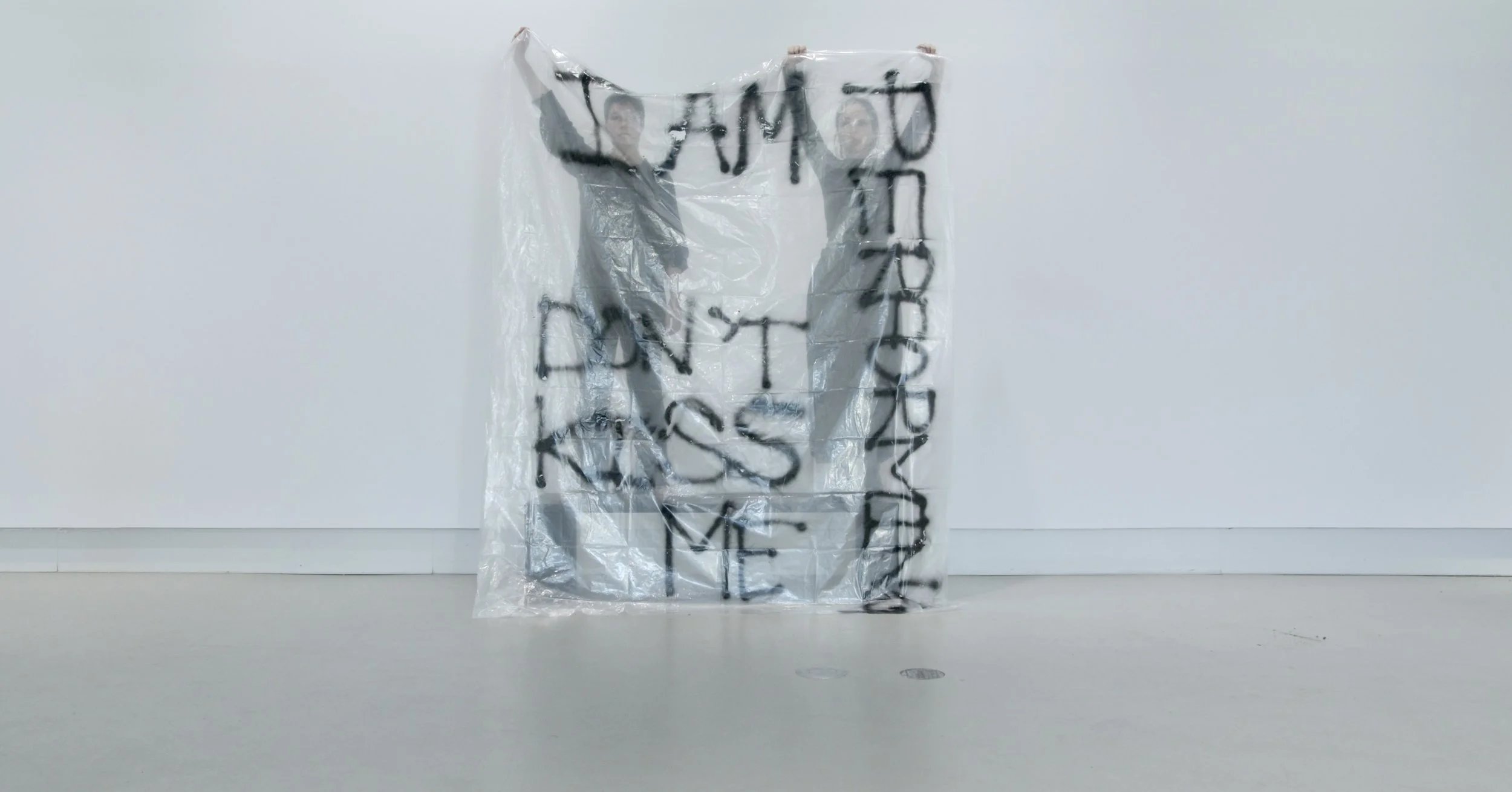 I am performing don't kiss me 2.0