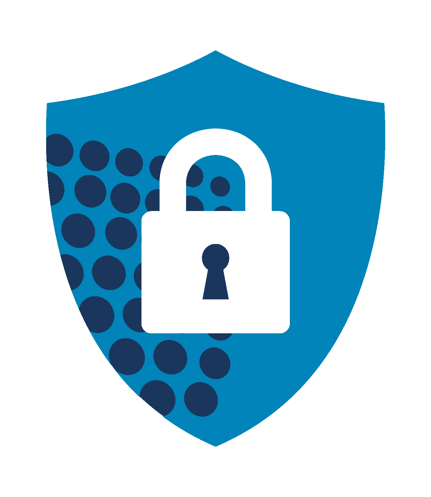 Security shield with a padlock symbol and a blue background with circles.