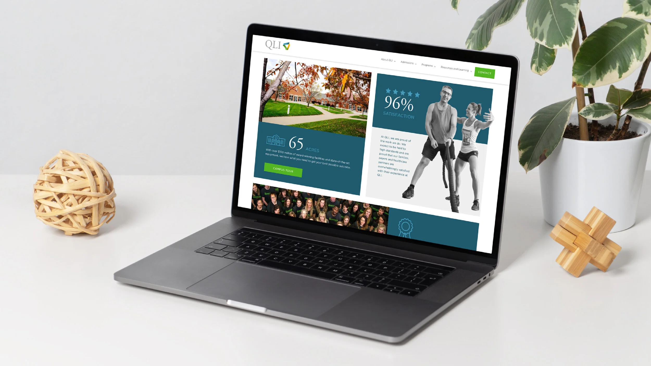 Fruitful_Design_And_Strategy_Omaha_Nebraska_QLI_Web_Design_Feature@2x-100.jpg