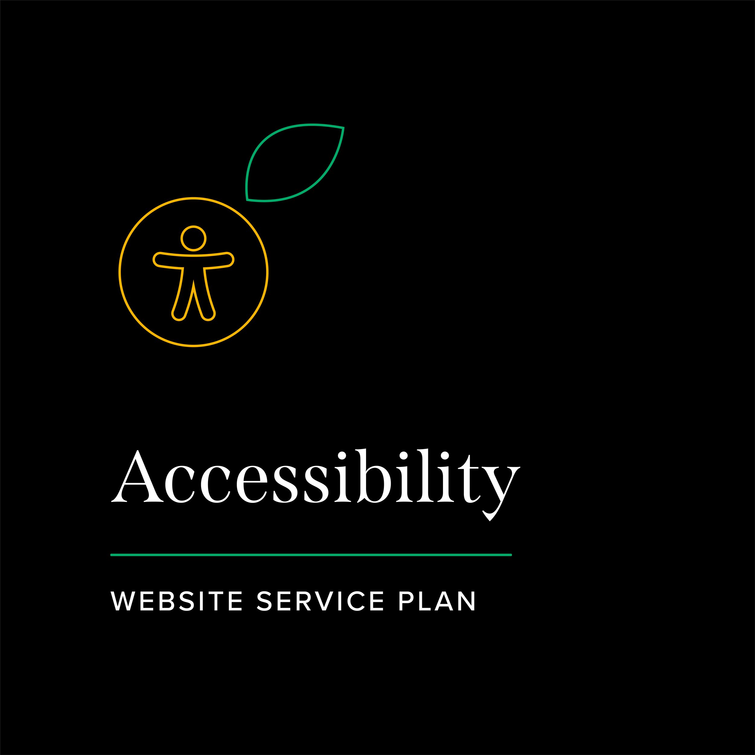 Website Accessibility