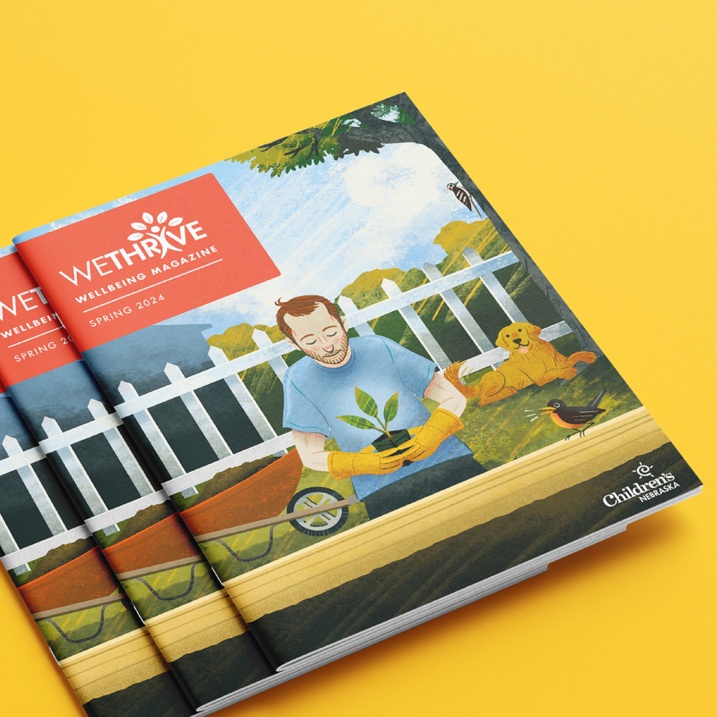 Book Design  Illustration 