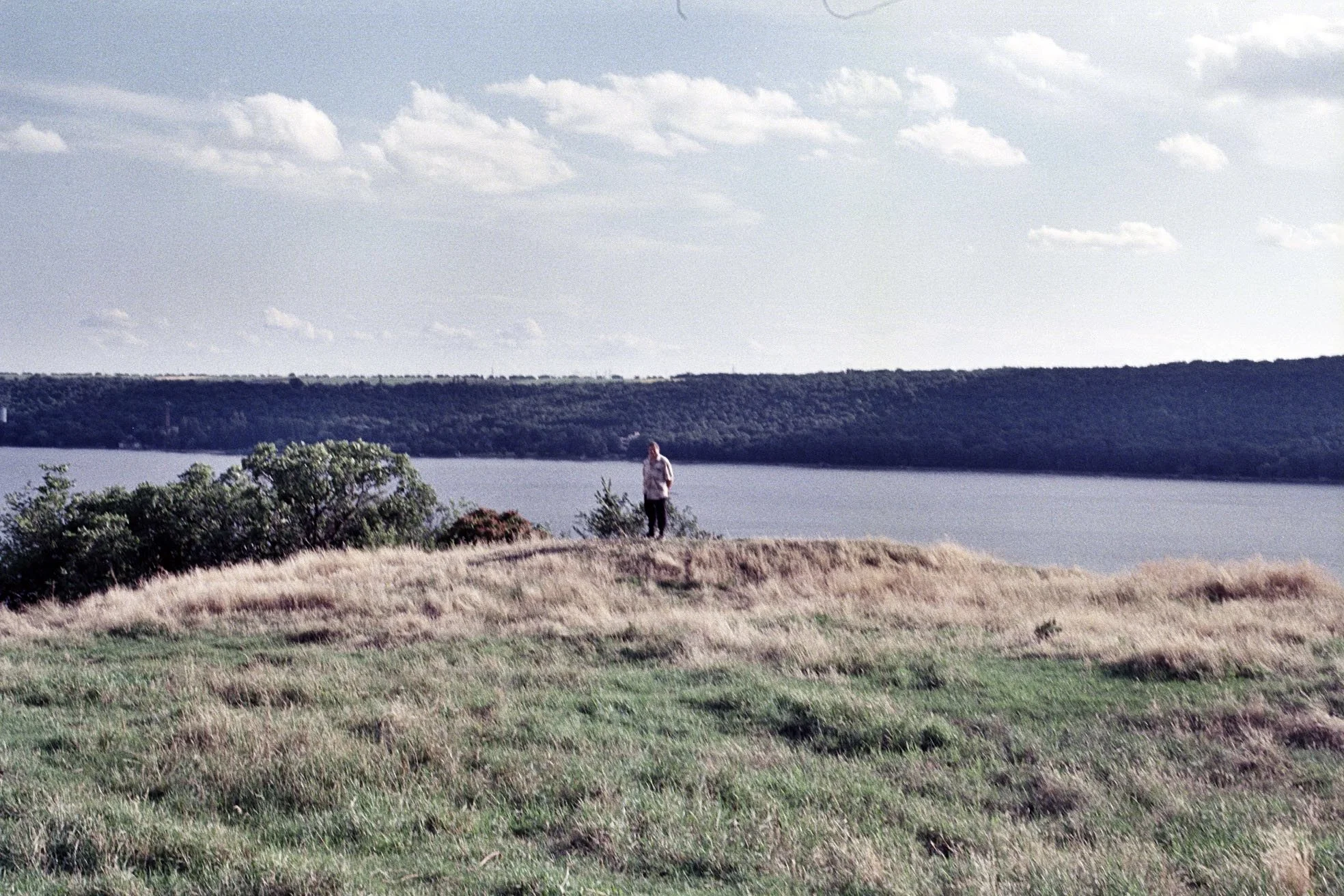 img0003.jpg