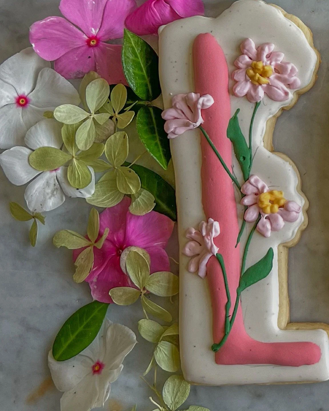 D8109878-73C9-4D7F-A9CE-A8E1FF82006F_L0_001-10_6_2025, 8_58_15 PM.jpg