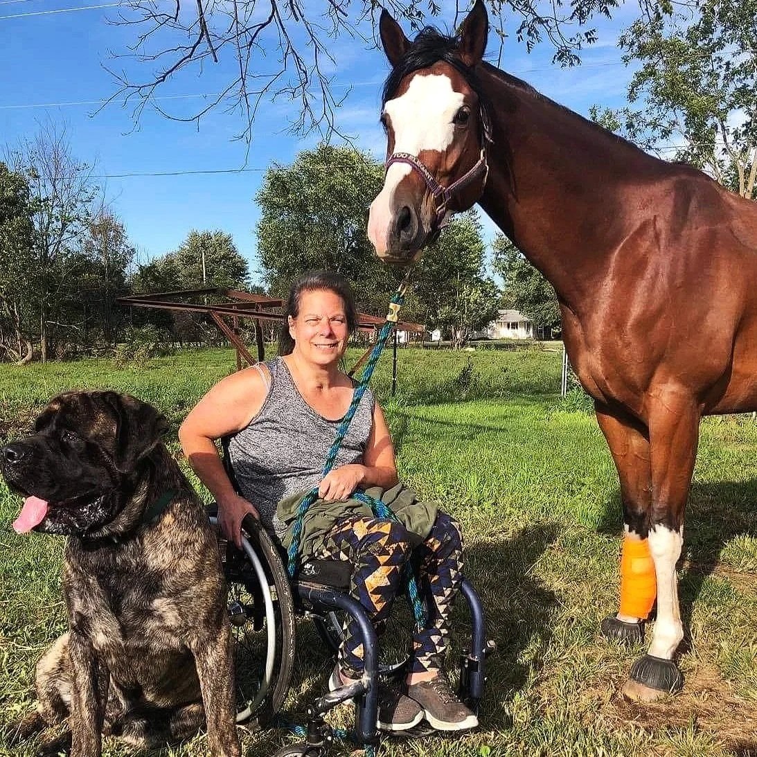 A woman in a wheelchair smiling outdoors with a large dog and a brown horse, which has ankle wraps, in a grassy area on a sunny day.