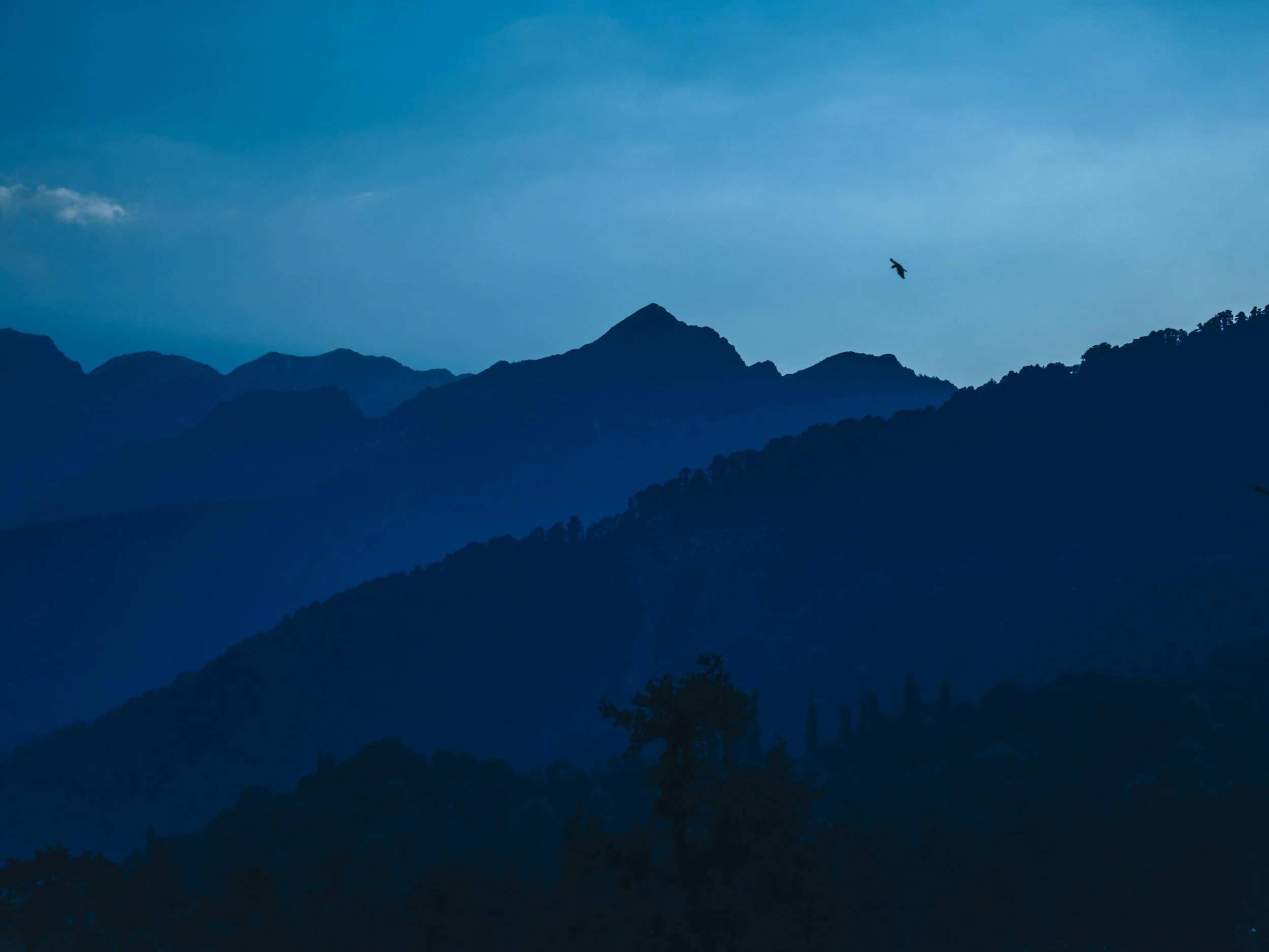 Mountain silhouette during dusk with a bird flying in the sky.
