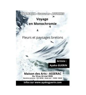 Voyage en Monochromie – Maison des Arts – Ayako Guérin
