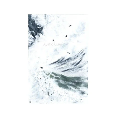 sternes monochrome capture carre.jpg