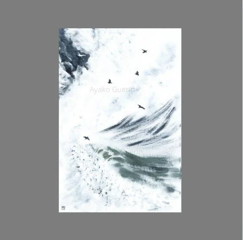 sternes monochrome capture carre fond gris.jpg