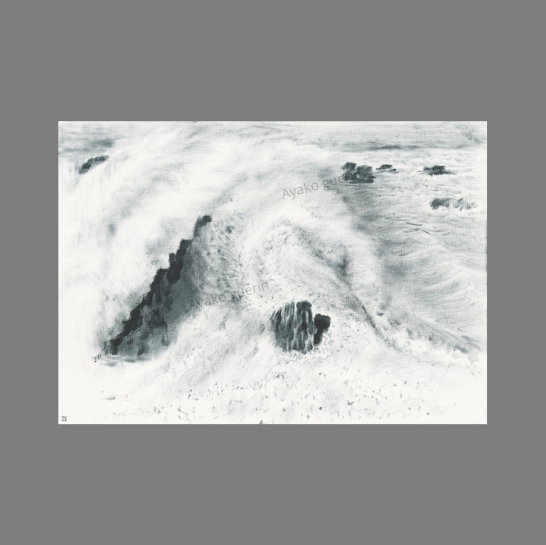 carre visuel cote sauvage monochrome.png