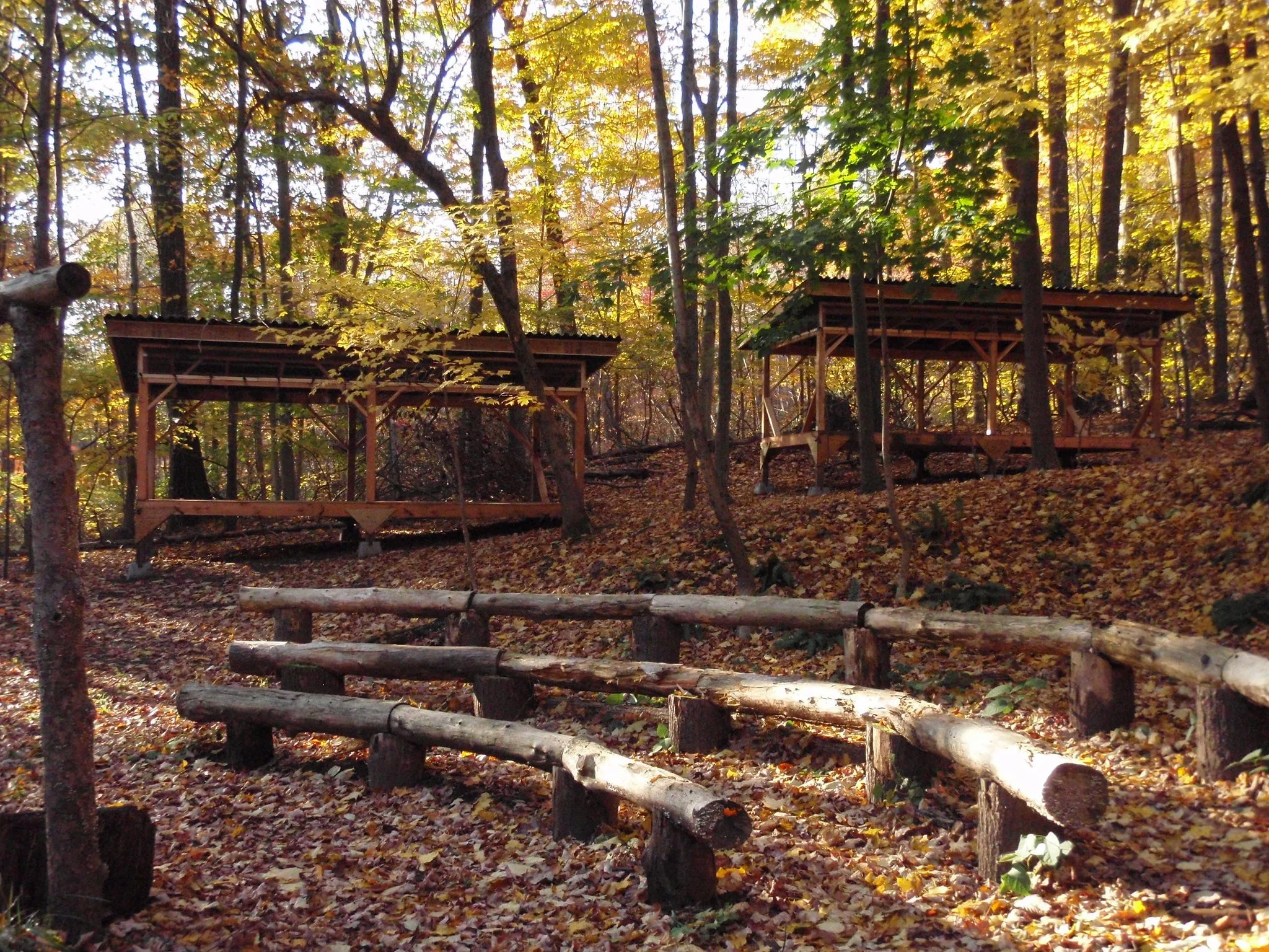outdoor classroom cabins fall 2008.jpg