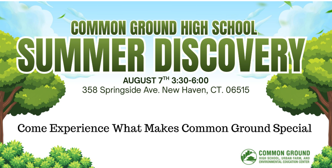 Summer Discovery