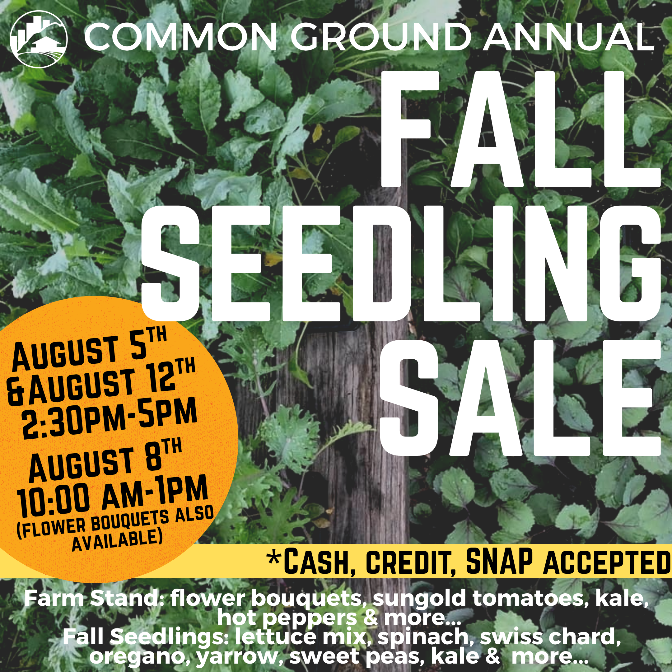 Fall Seedling Sale