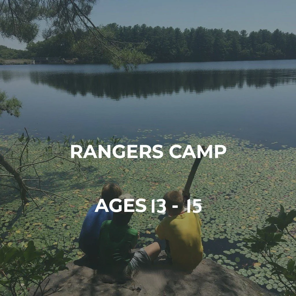About Summer Camp — Common Ground