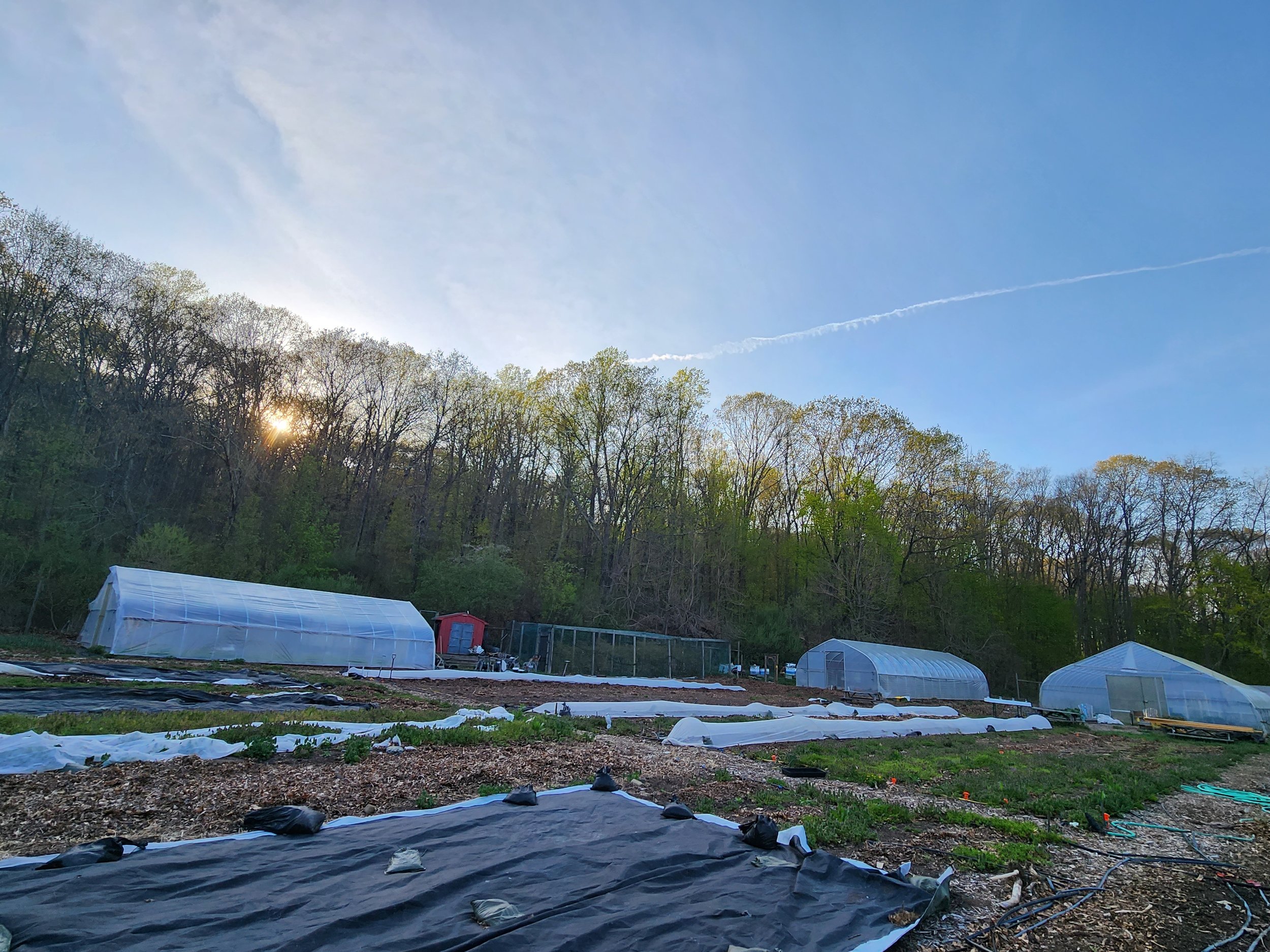 Photo 8 Farm Sunset.jpg