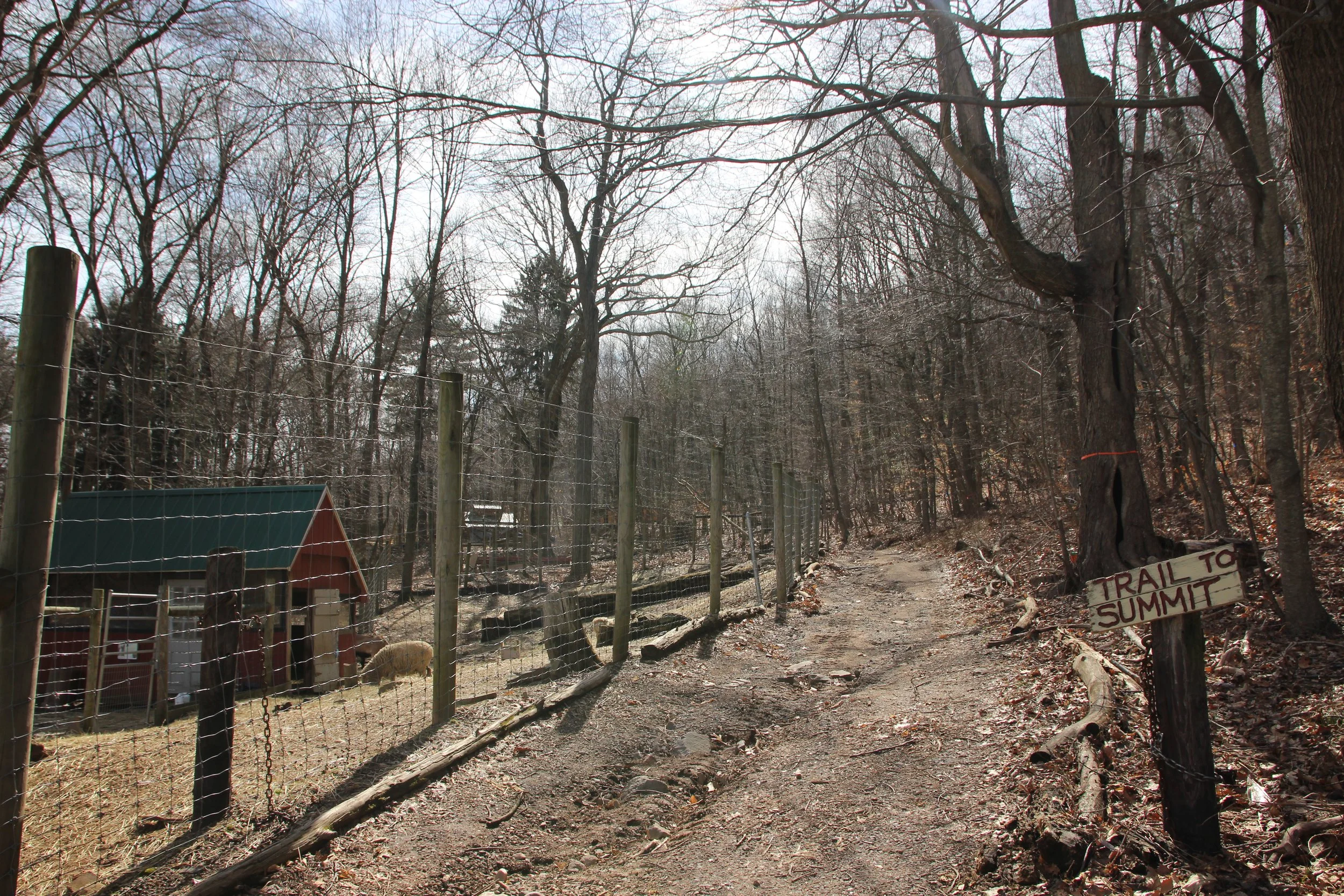 Trail to Outdoor Classroom.JPG
