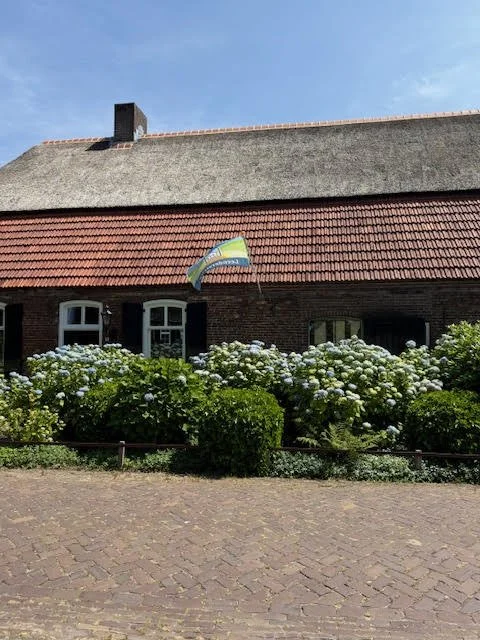 A house with a red tile roof, white window frames, gardens with bushes and flowers, and a rainbow-colored kite stuck on a wire in front.