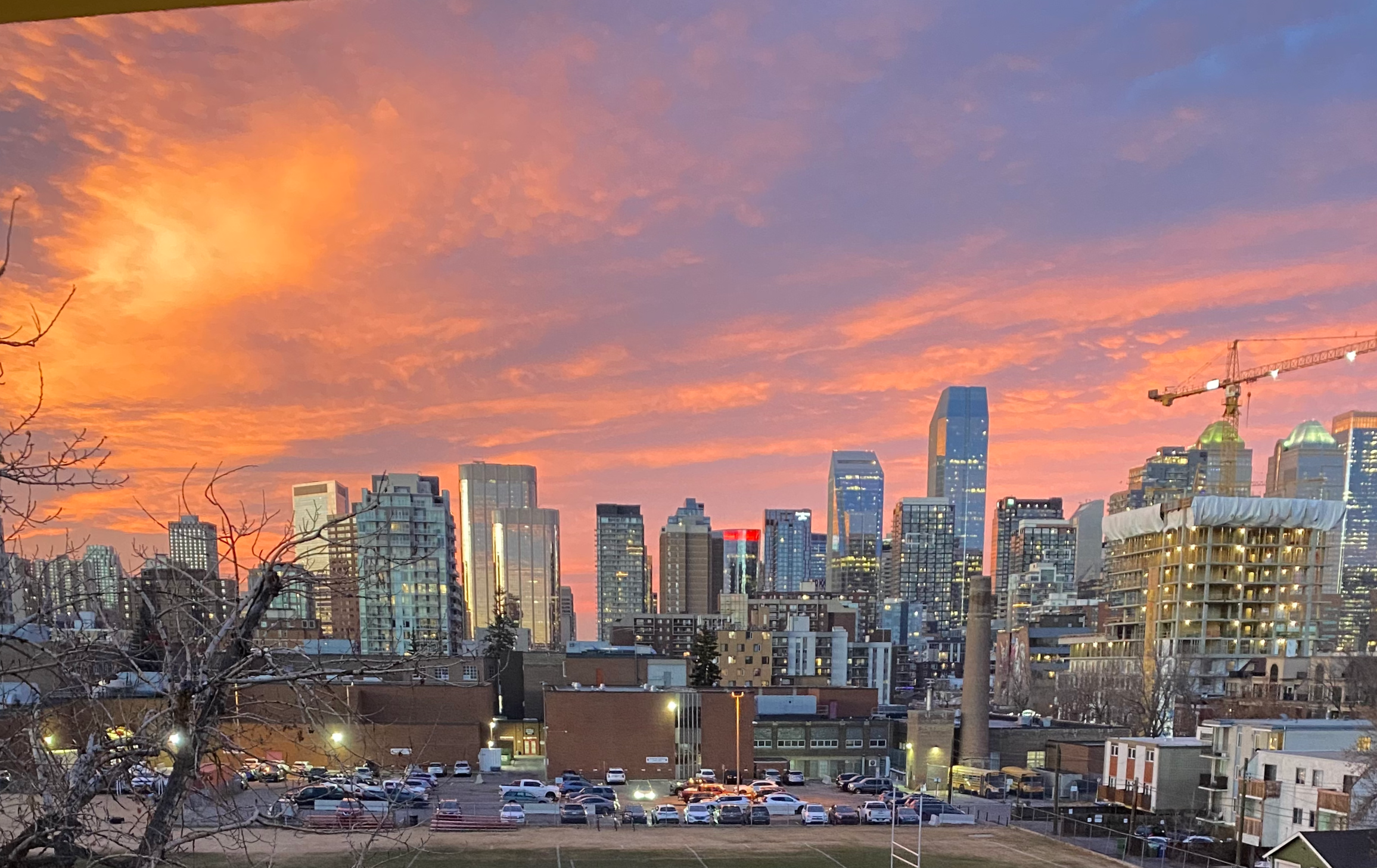 City of Calgary img.png