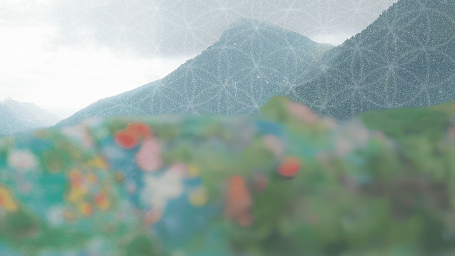 Hallucinogen Persisting Perception Adaptation: Finding Meaning After HPPD