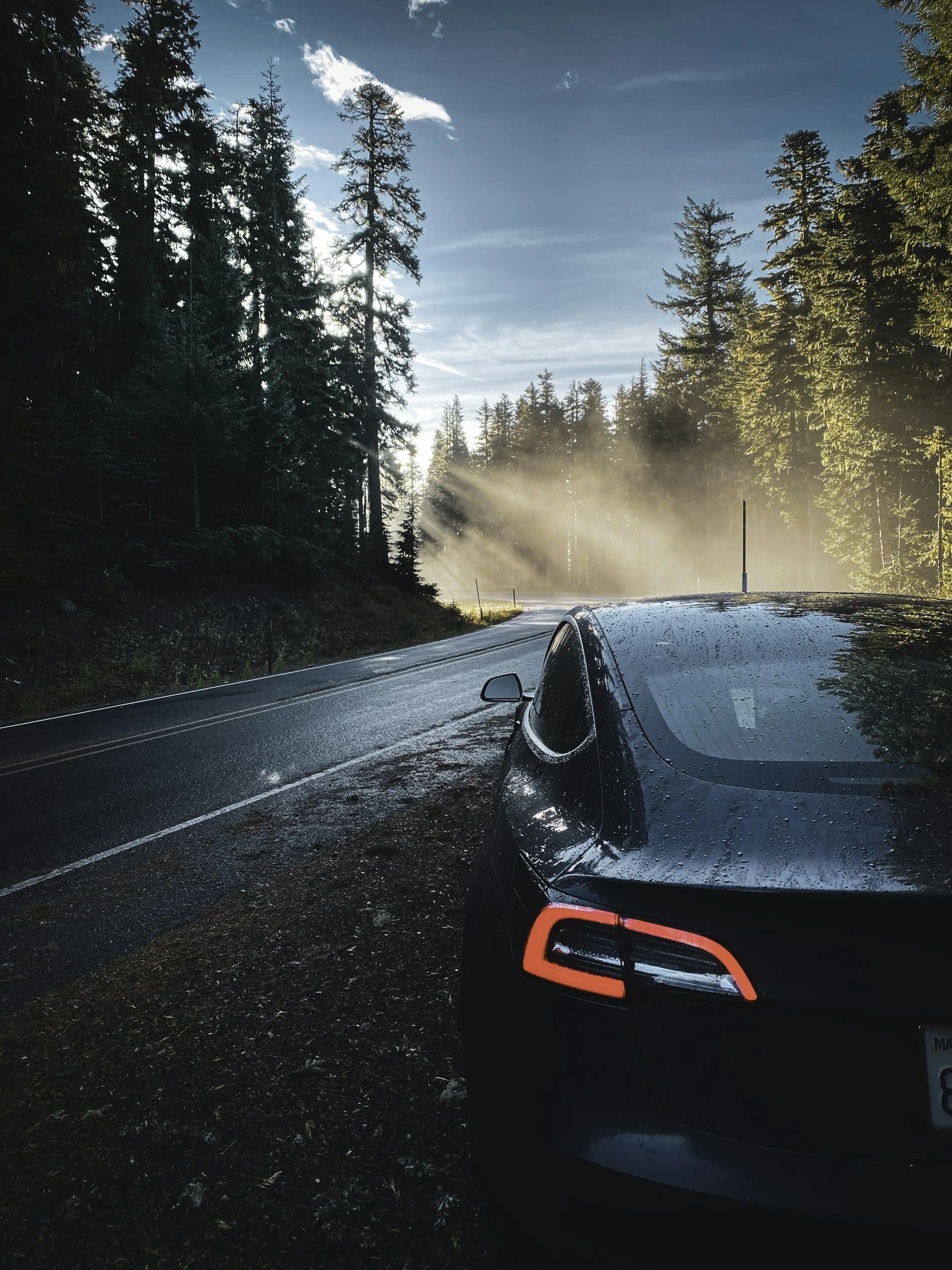 How Tesla Changed My Relationship with Driving