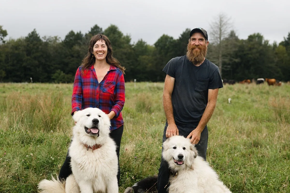 Questions to ask when choosing a farm website platform