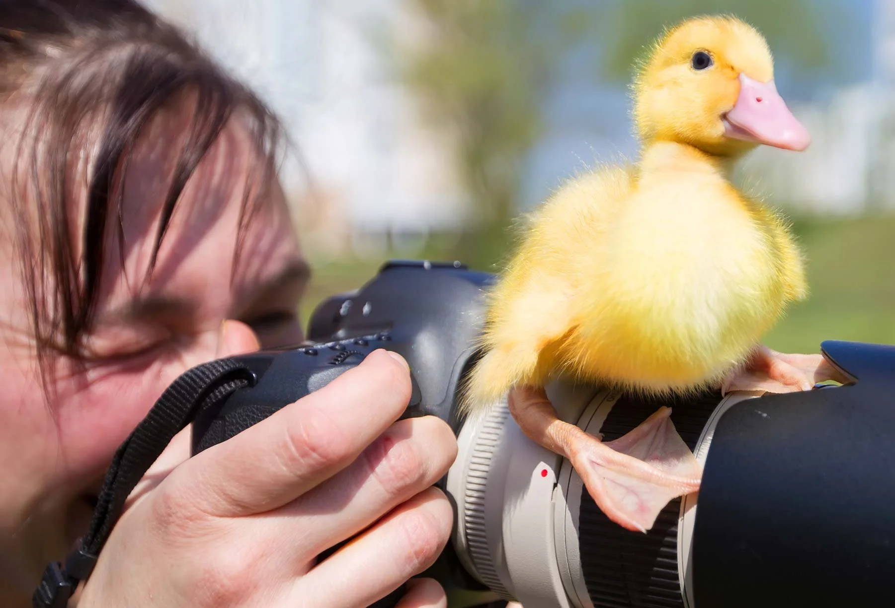 Hiring a Professional Farm Photographer