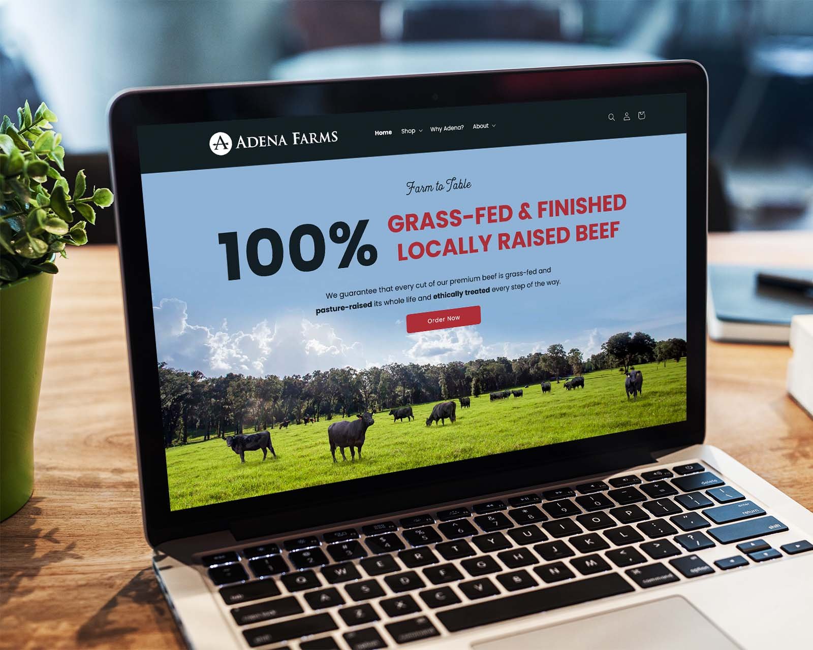 Website for Adena Farms