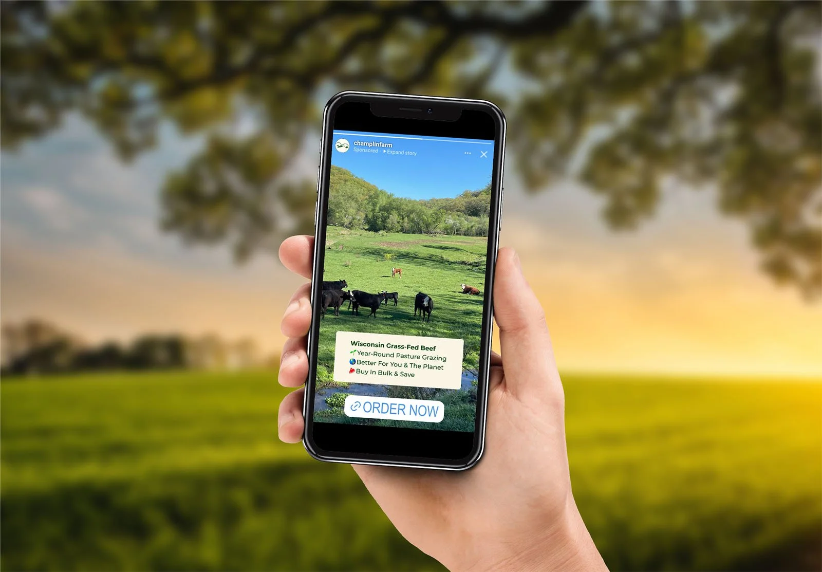 beef-farm-ads-for-brand-awareness-2.jpg