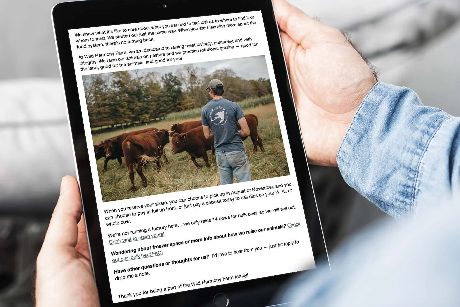 bulk-beef-marketing-2.jpg