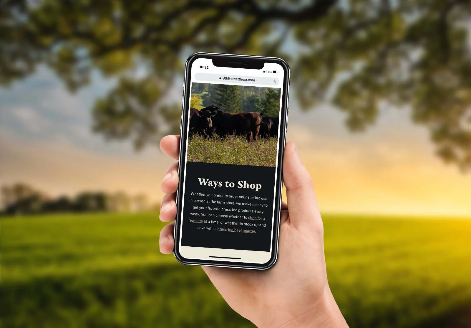 beef-farm-website-designer.jpg