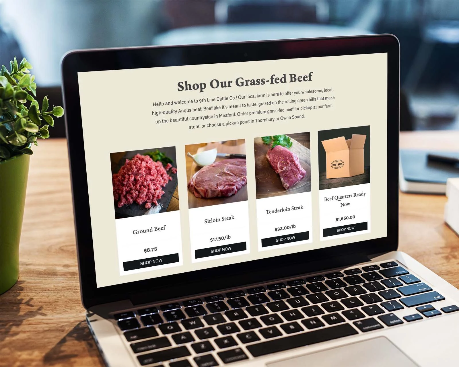 beef-farm-website-design.jpg