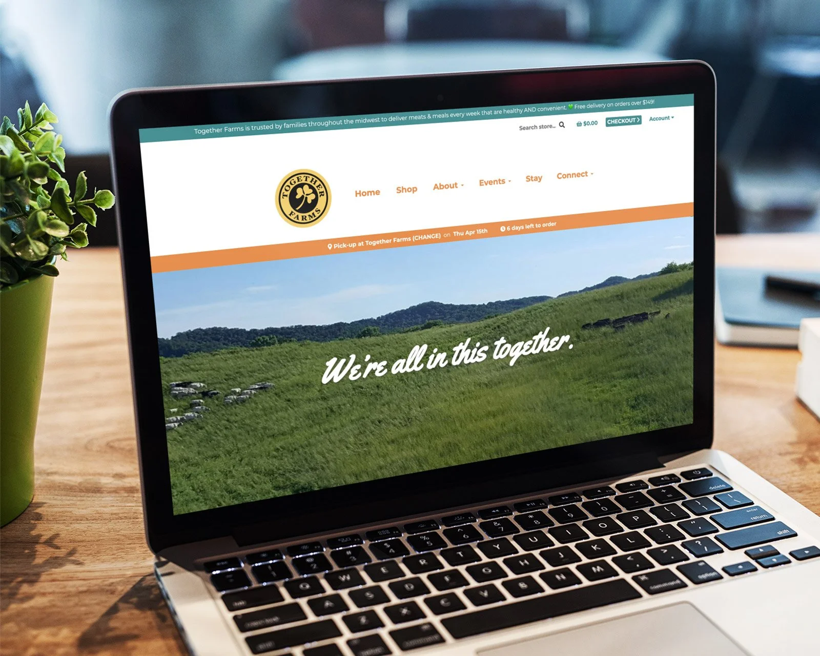 Website for Together Farms
