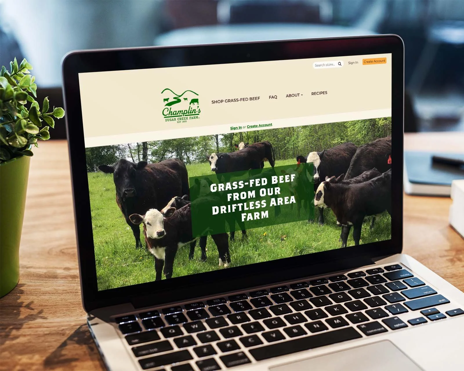 custom-grazecart-website-wisconsin-1.jpg