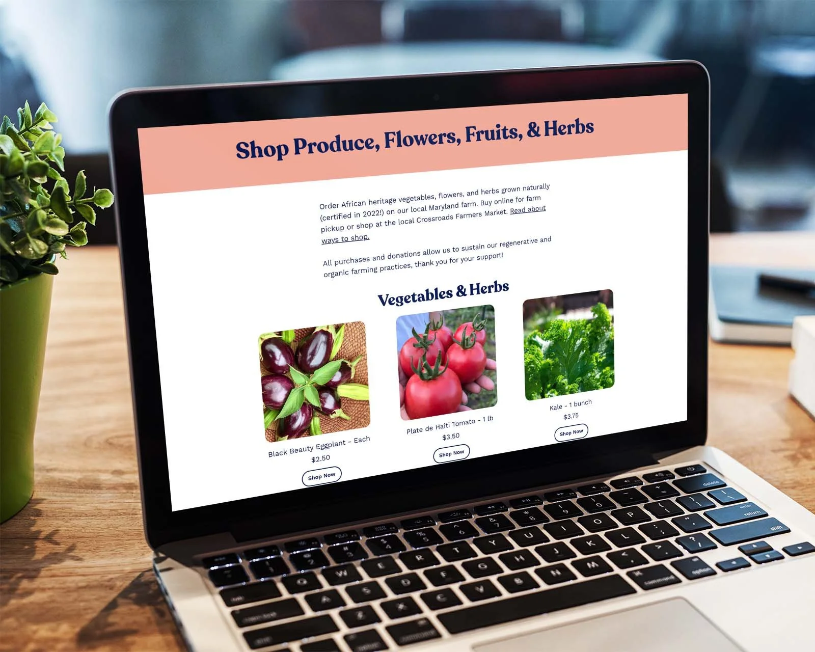 custom-square-website-design-maryland-4.jpg