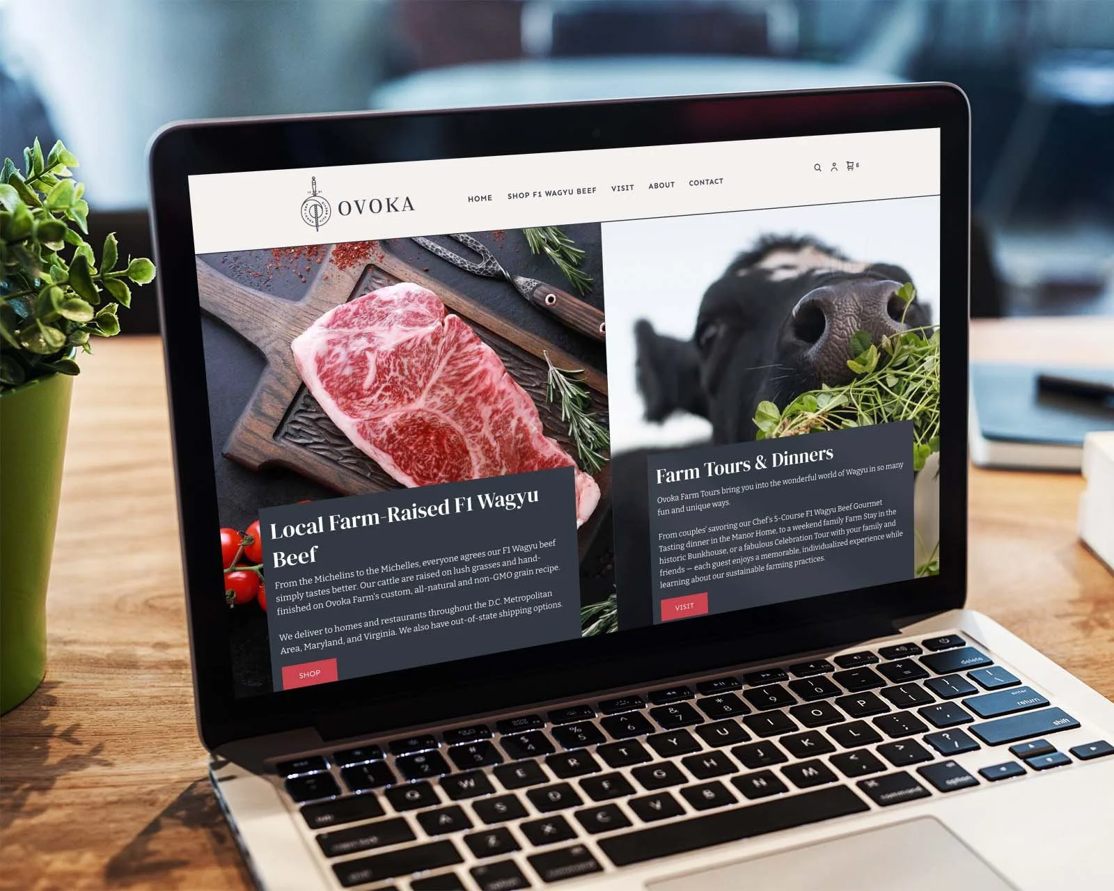 custom-wagyu-website-1.jpg