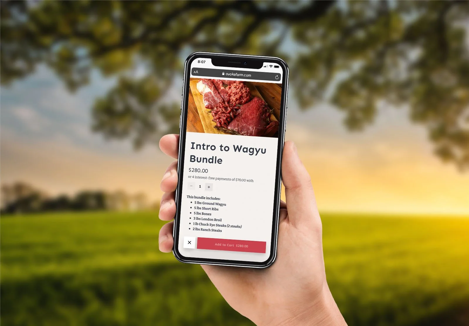 custom-wagyu-website-4.jpg