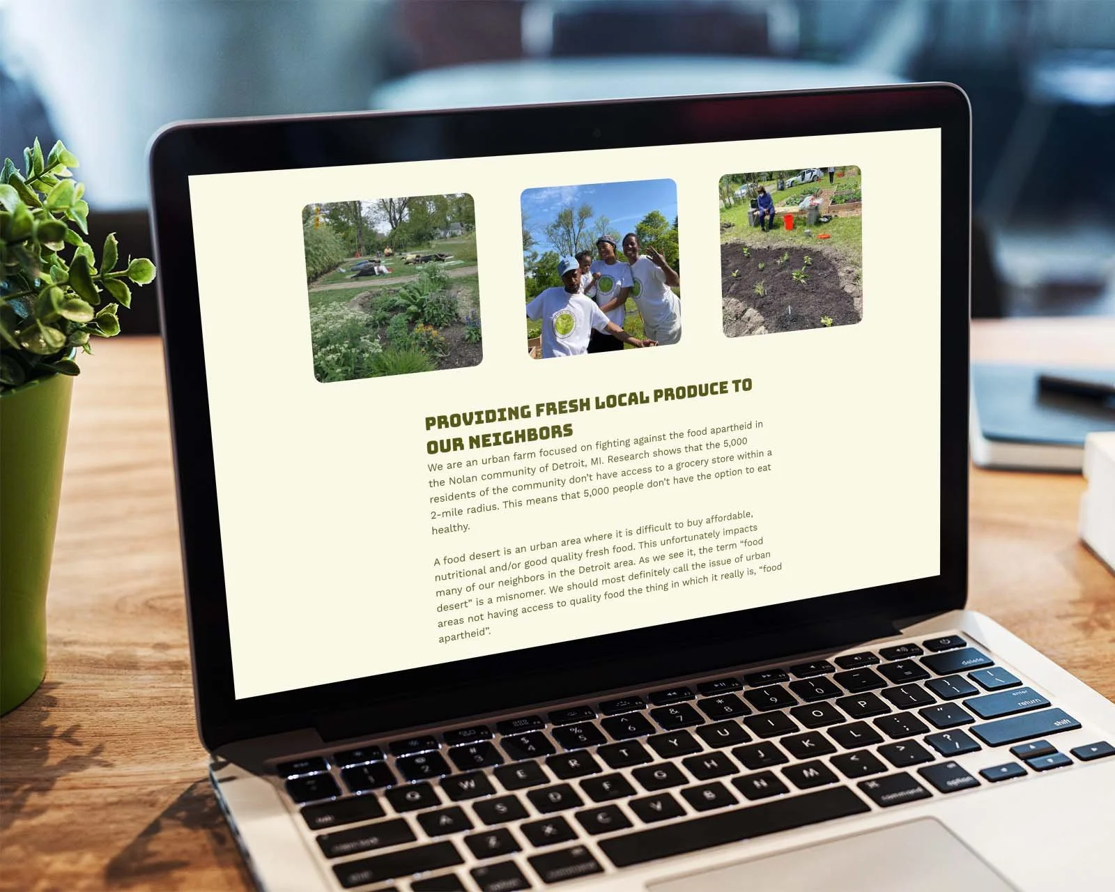 detroit-farm-square-website-2.jpg