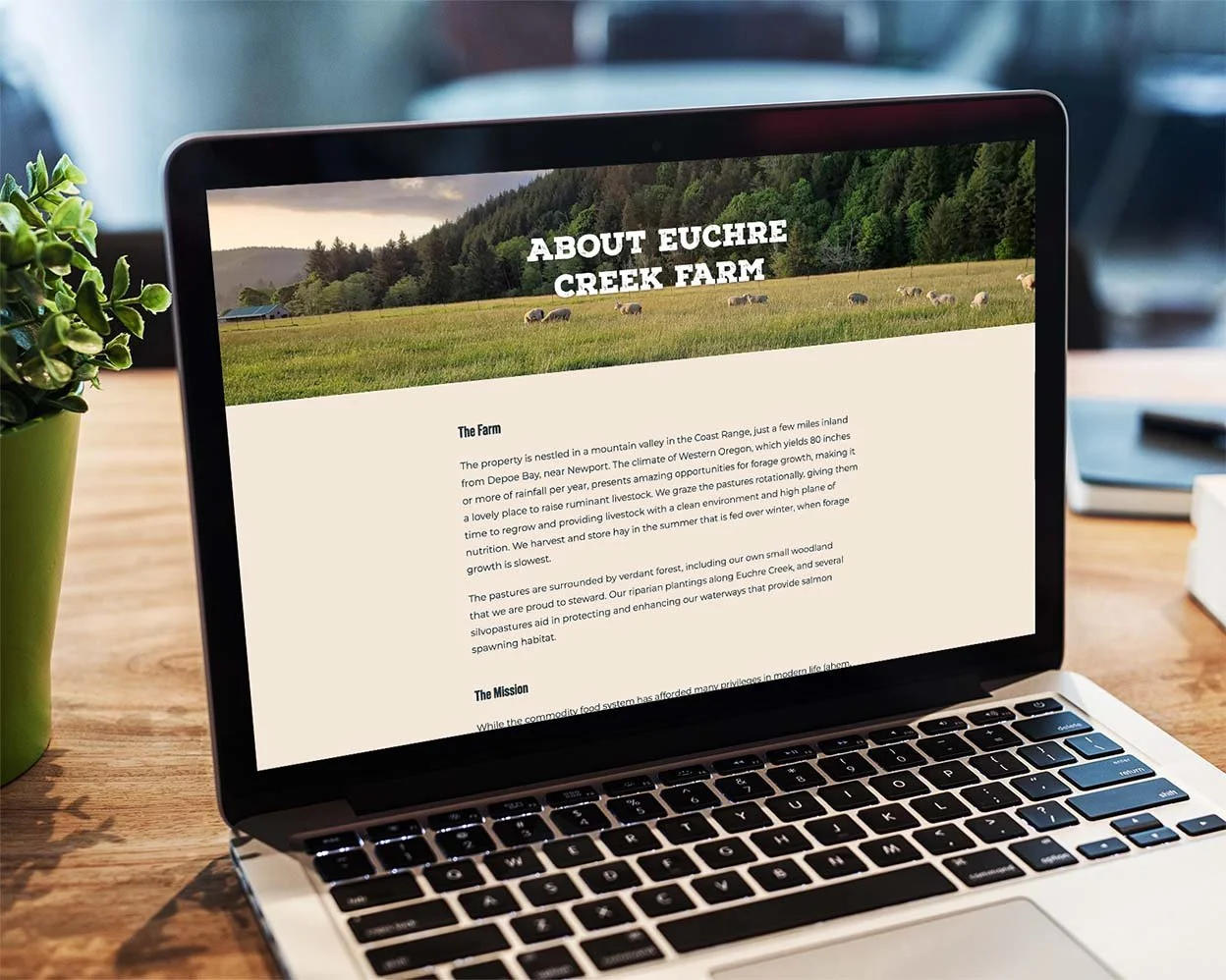 diy-farm-website-2.jpg