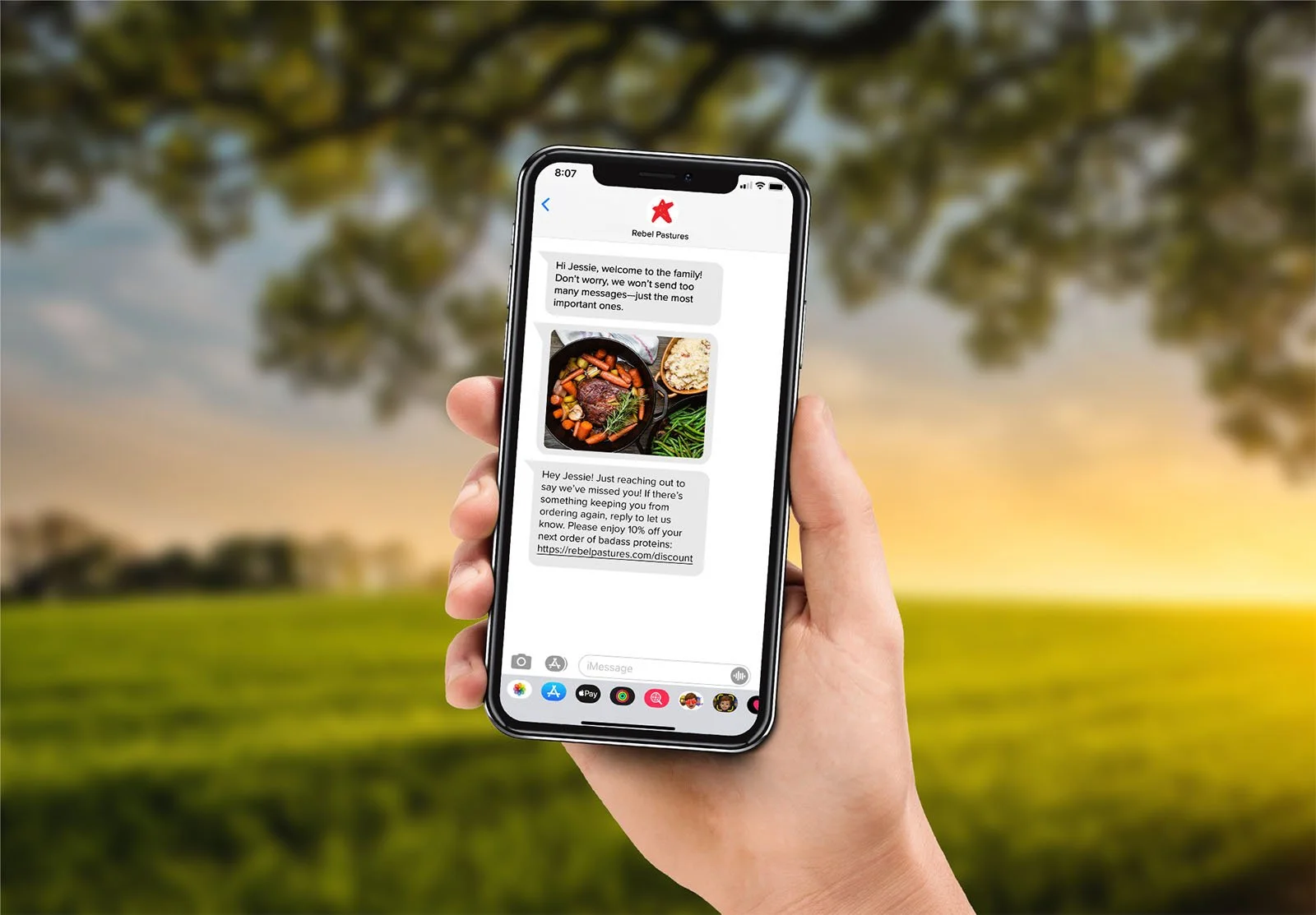 email-marketing-and-sms-for-rebel-pastures-3.jpg