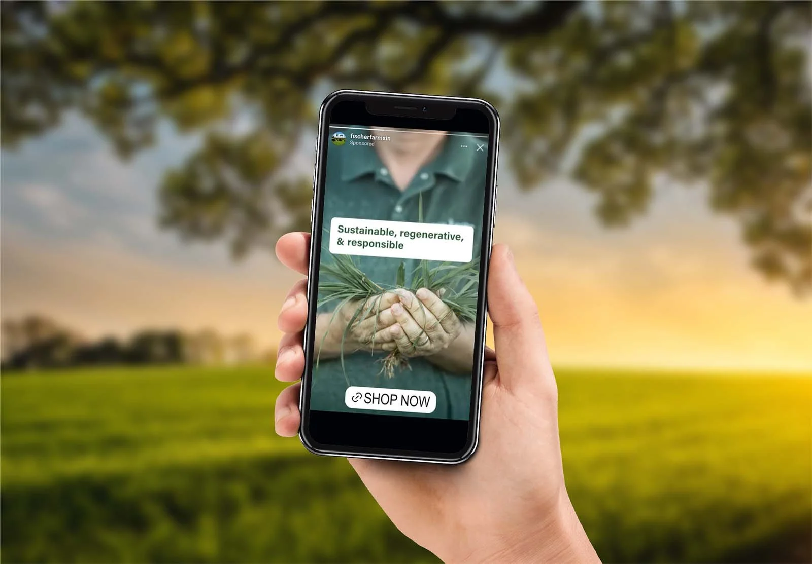 farm-advertising-instagram.jpg