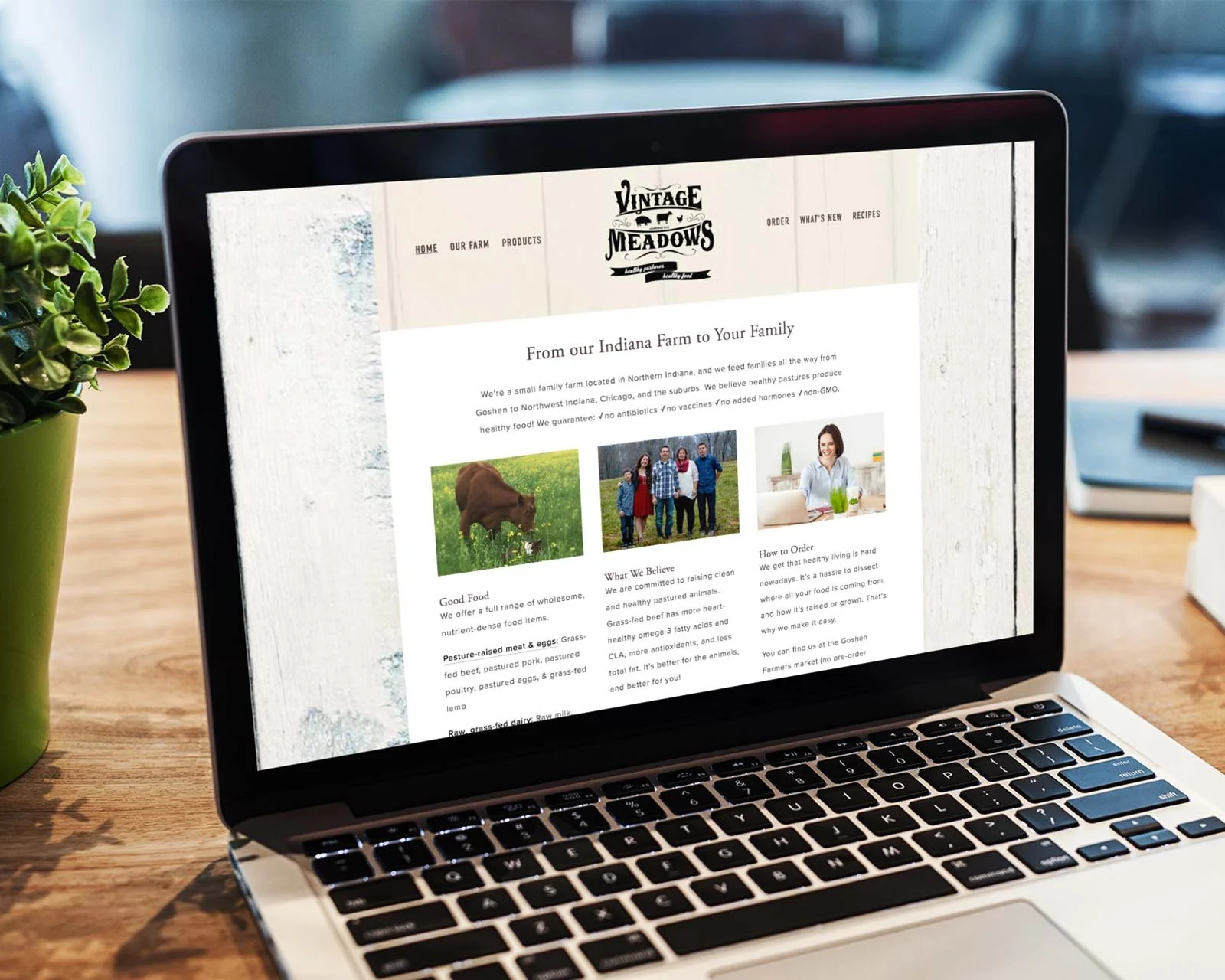 Website for Vintage Meadows