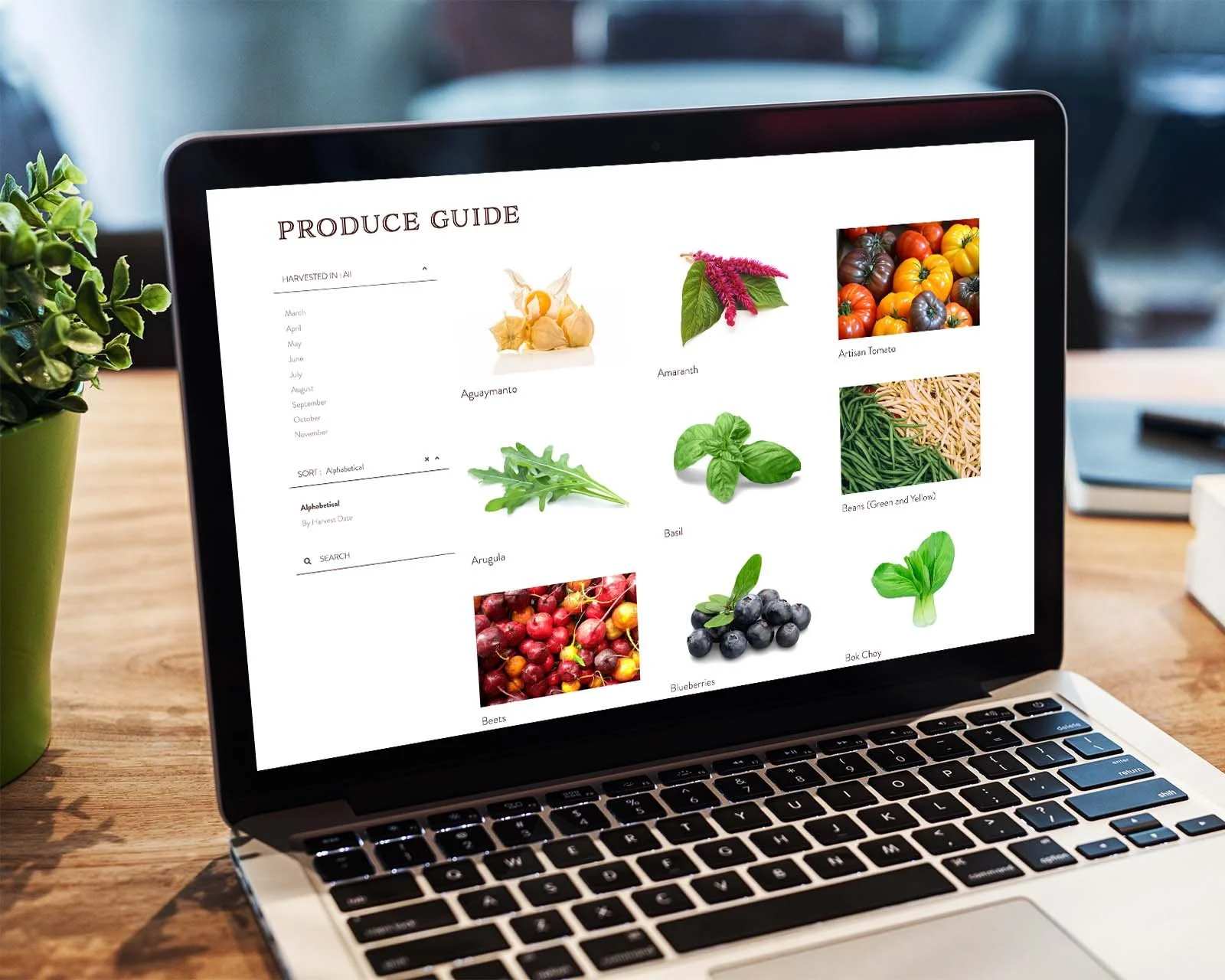 farm-website-design-pennsylvania-4.jpg