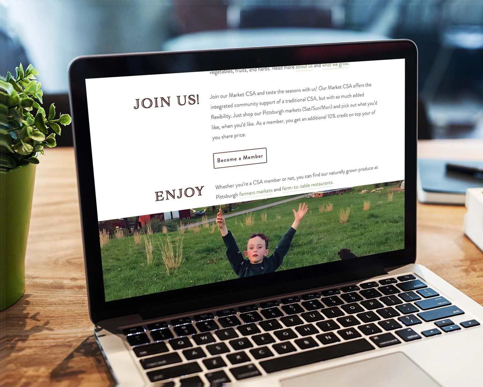 farm-website-design-pennsylvania-2.jpg
