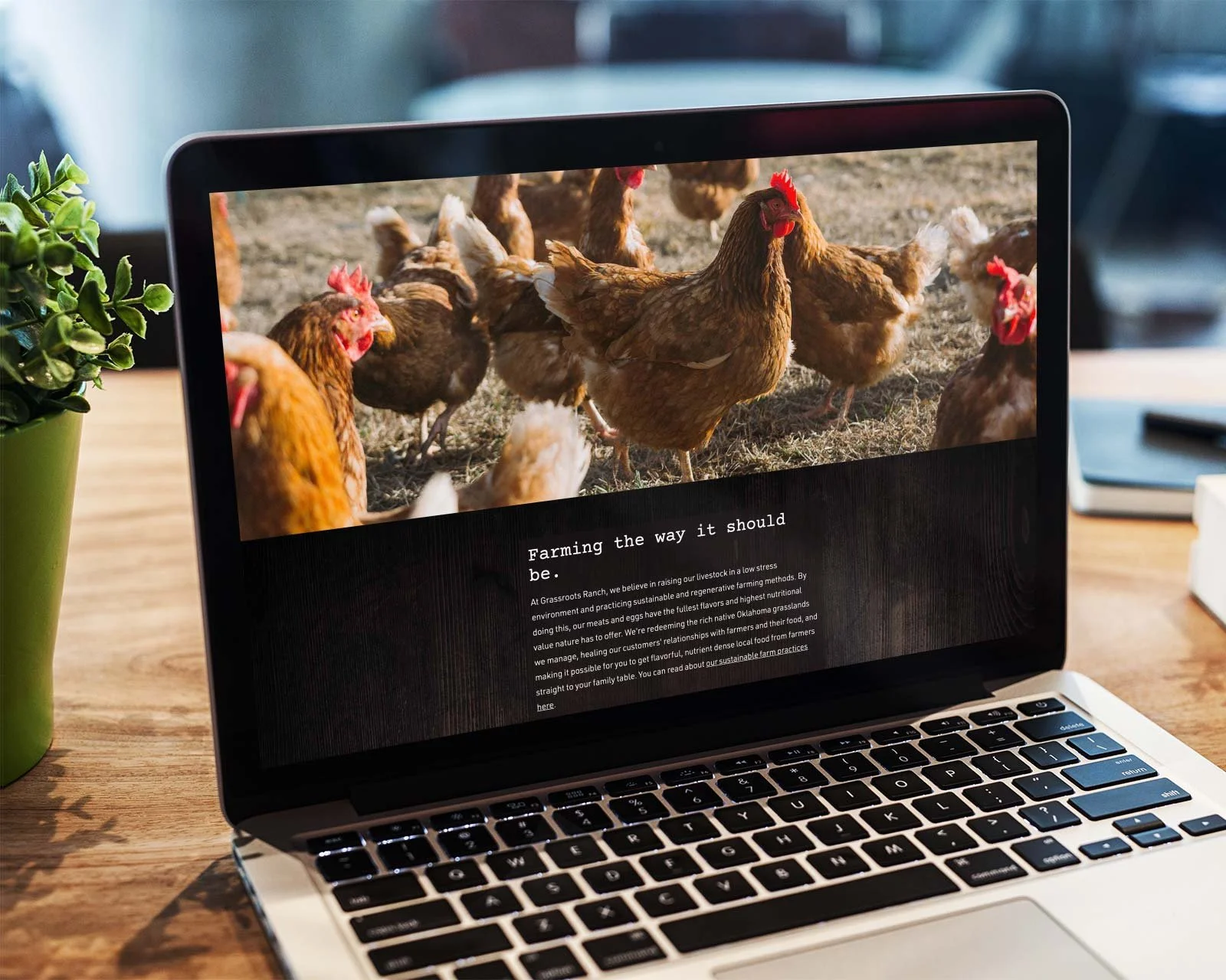 grassroots-ranch-website-design.jpg